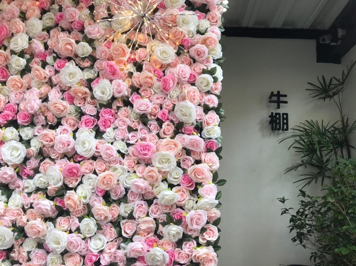 Donghai Cottage Backpack Inn Suite Longjing Экстерьер фото